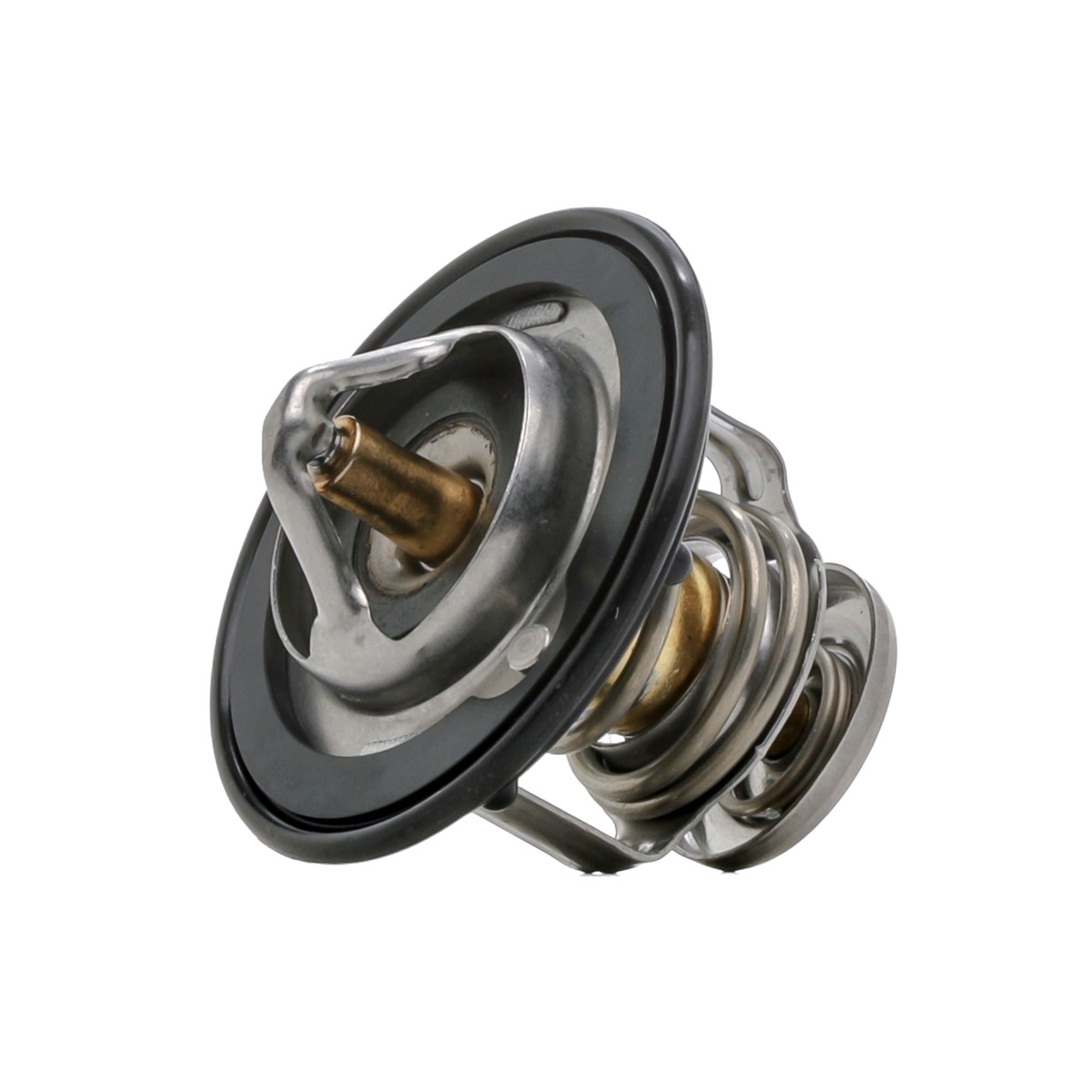 Ridex 316T0018 Thermostat