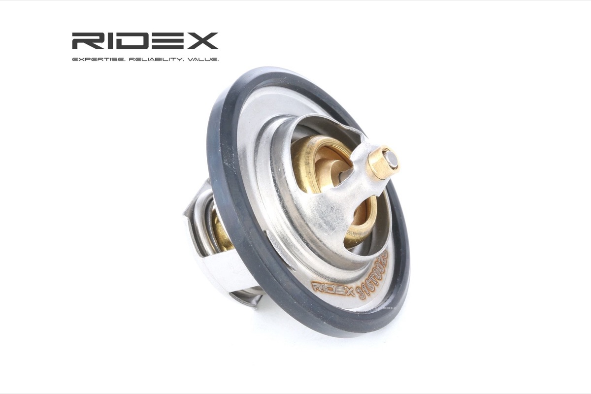 Ridex 316T0029 Thermostat