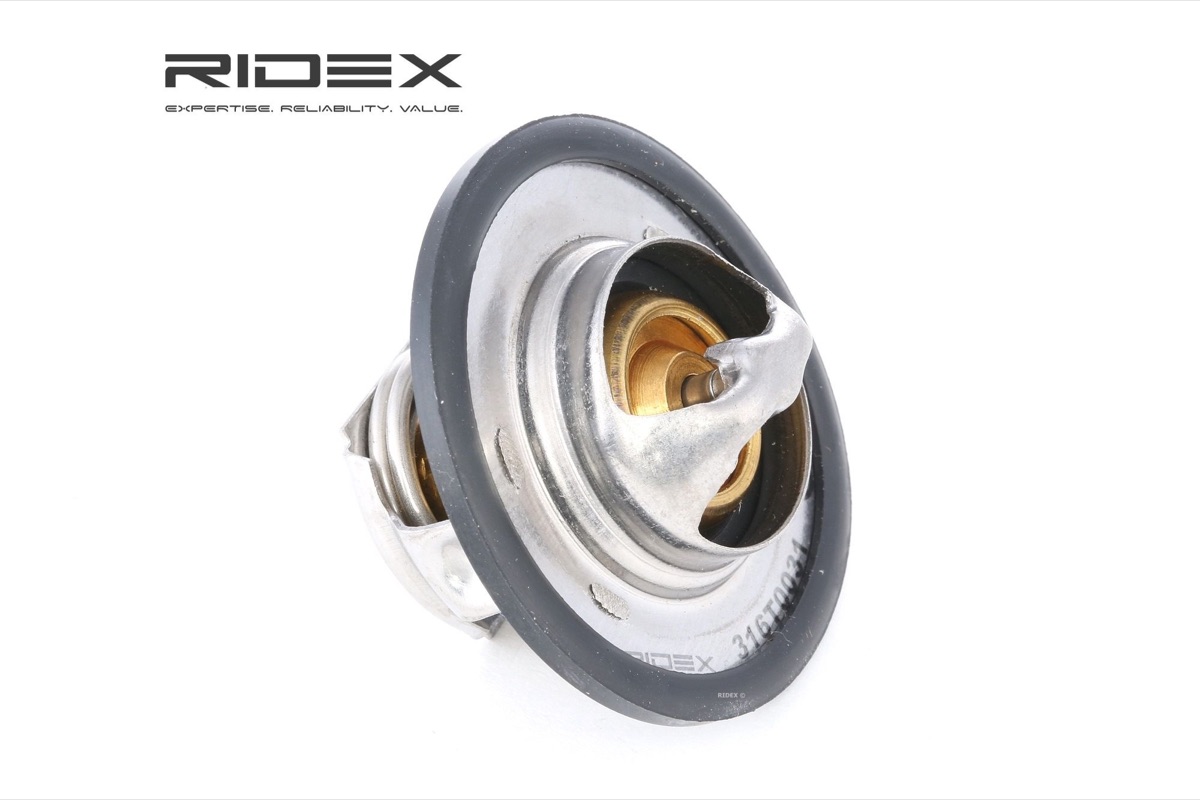 Ridex 316T0031 Thermostat