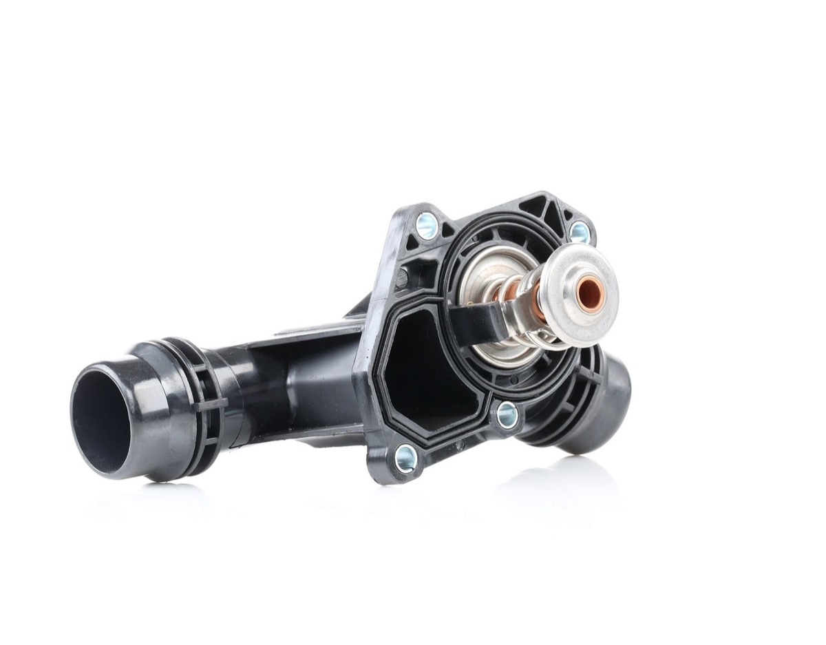 Ridex 316T0042 Thermostat