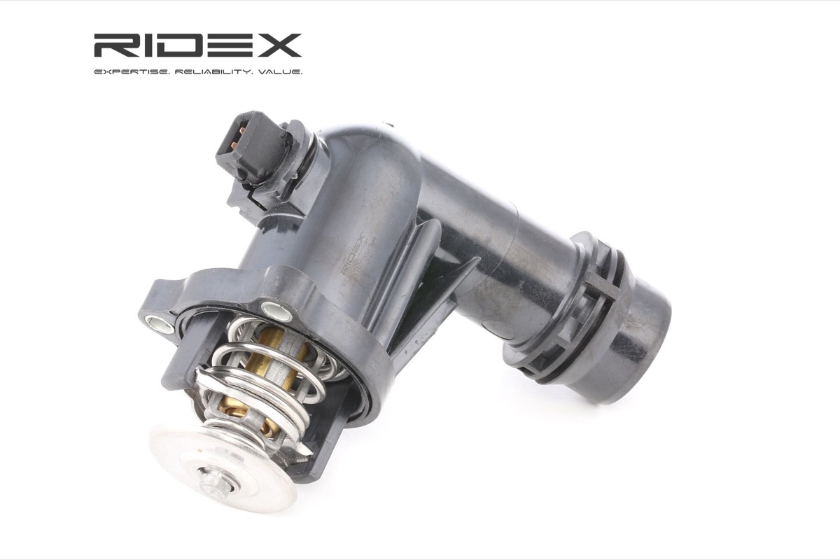 Ridex 316T0047 Thermostat