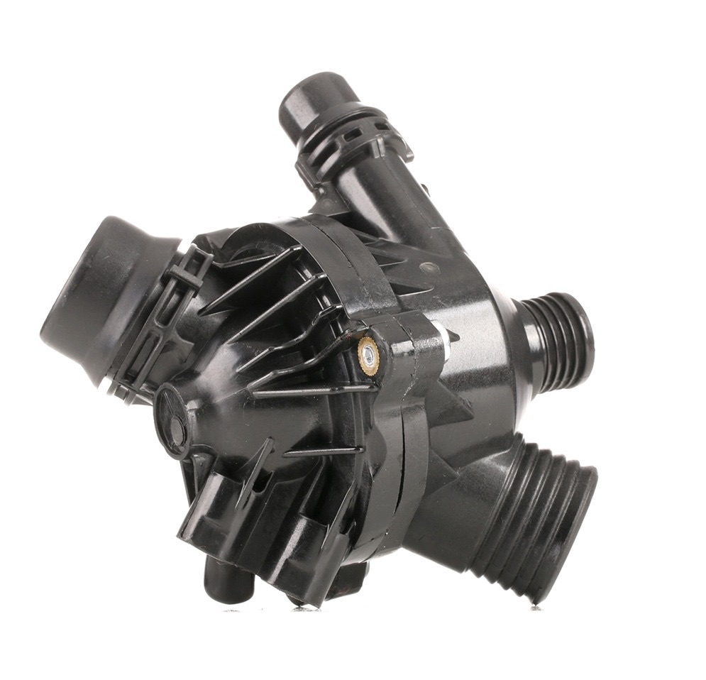 Ridex 316T0068 Thermostat