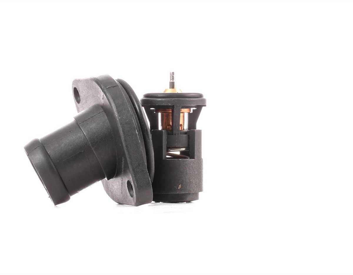 Ridex 316T0099 Thermostat