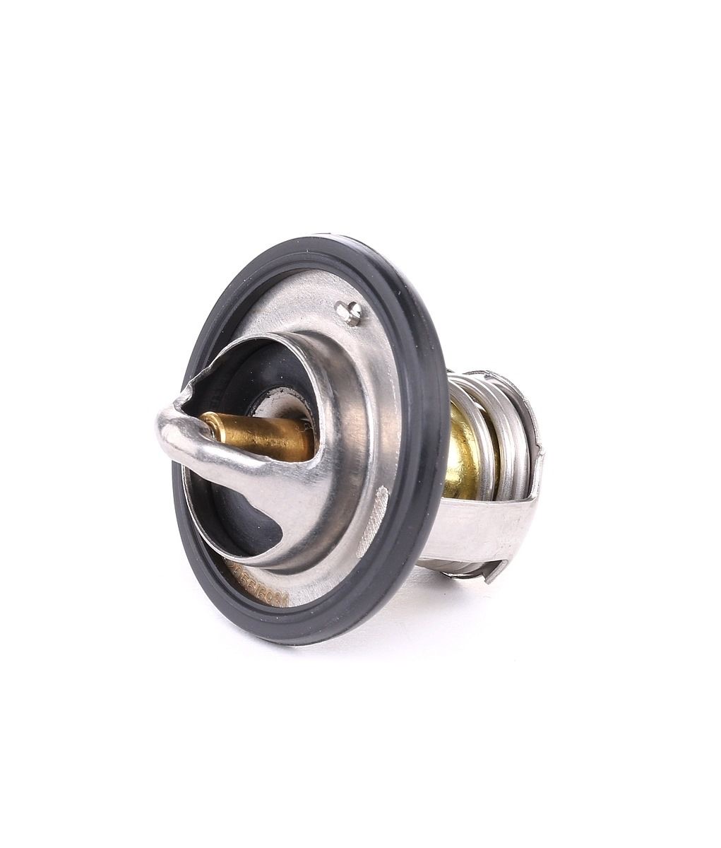 Ridex 316T0118 Thermostat