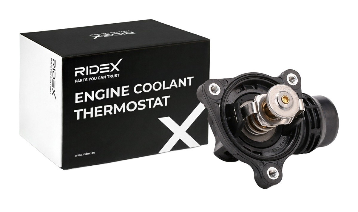 Ridex 316T0140 Thermostat