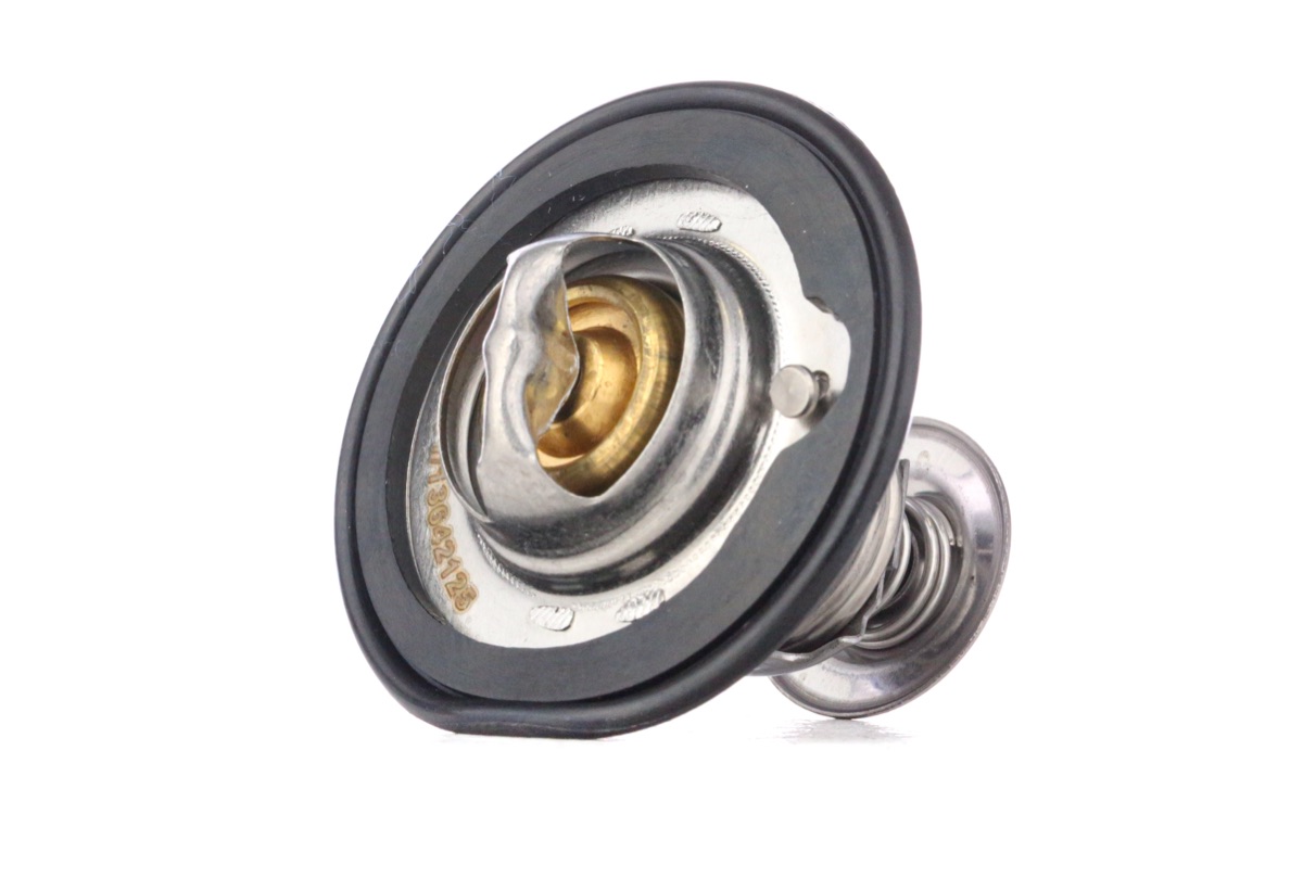 Ridex 316T0149 Thermostat