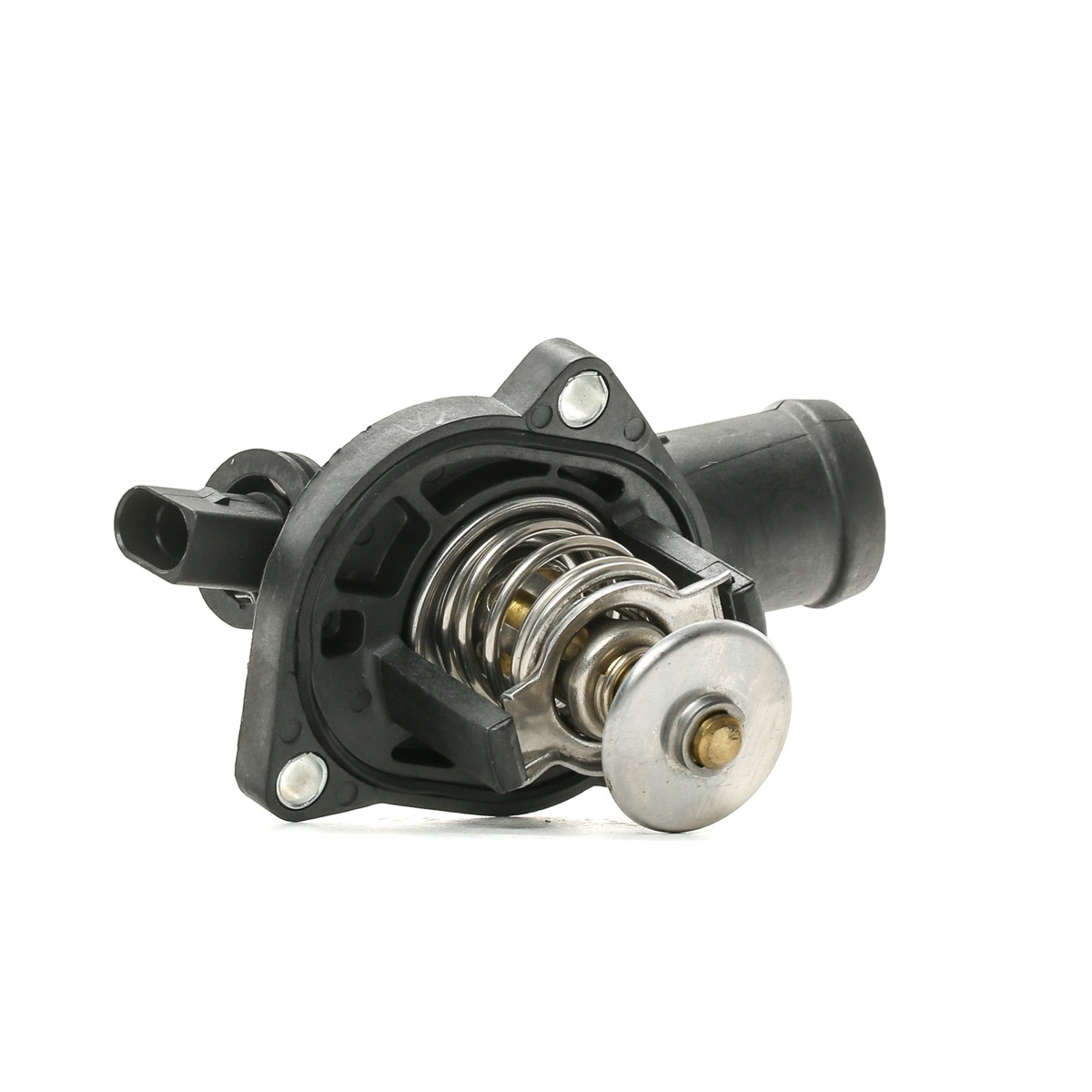 Ridex 316T0166 Thermostat