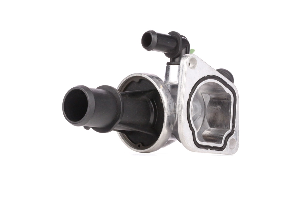 Ridex 316T0178 Thermostat