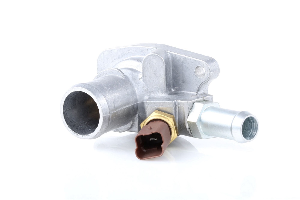 Ridex 316T0180 Thermostat
