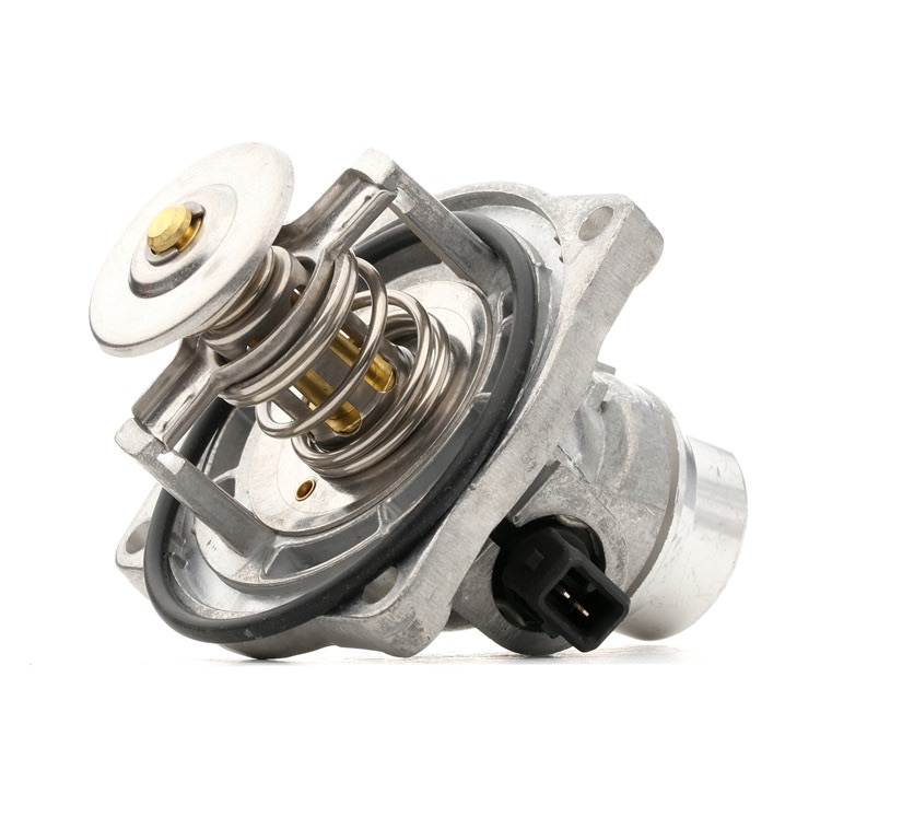 Ridex 316T0201 Thermostat