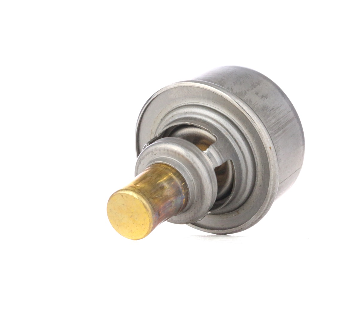 Ridex 316T0235 Thermostat