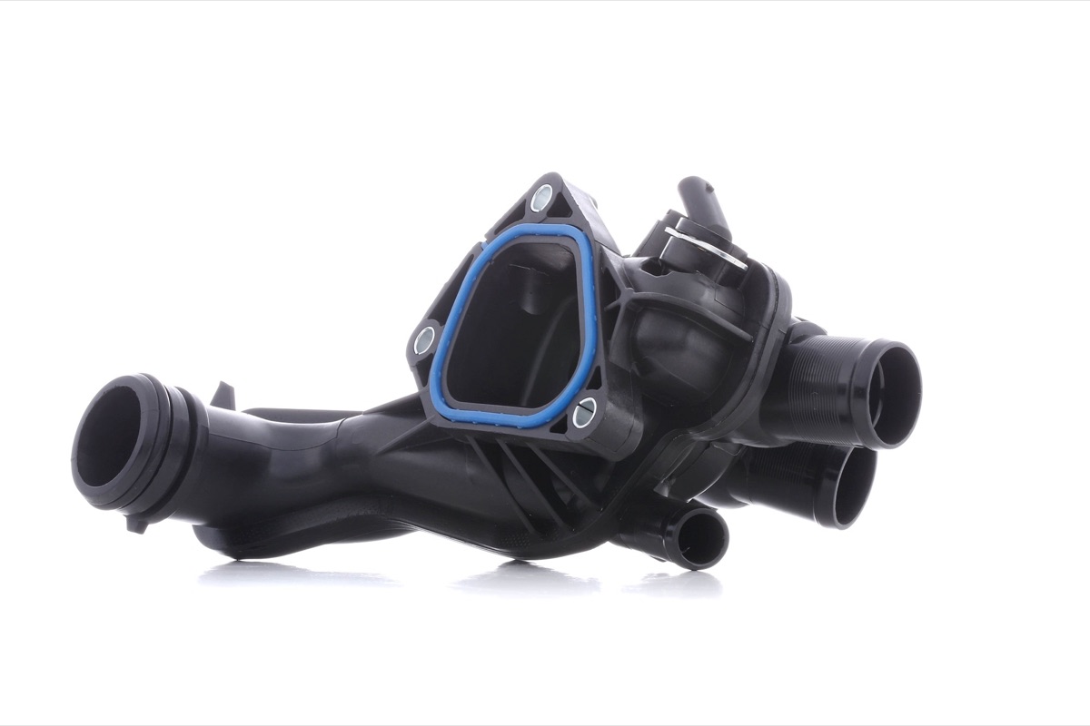 Ridex 316T0266 Thermostat