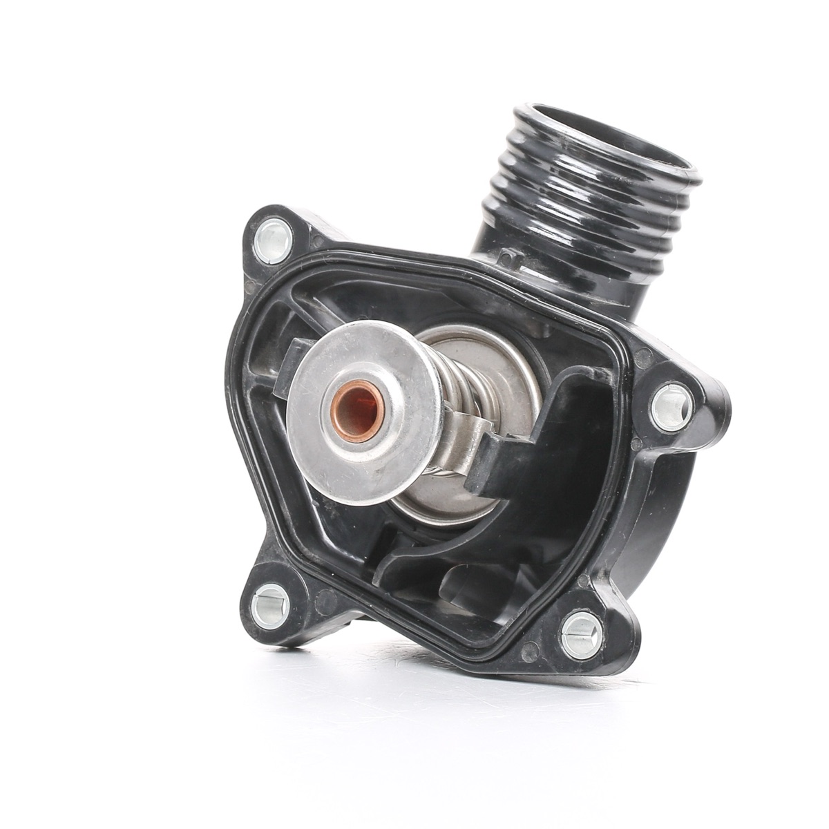 Ridex 316T0281 Thermostat