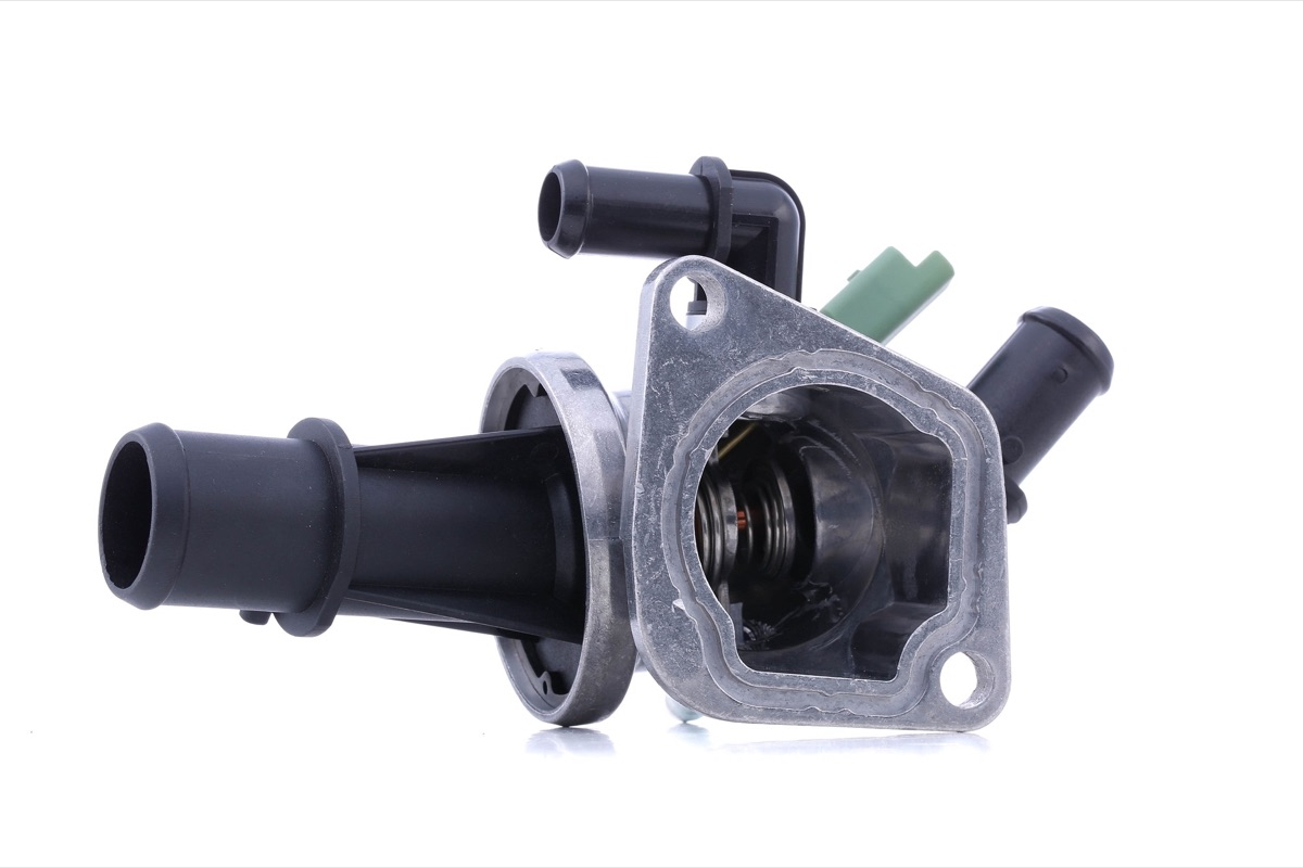 Ridex 316T0282 Thermostat