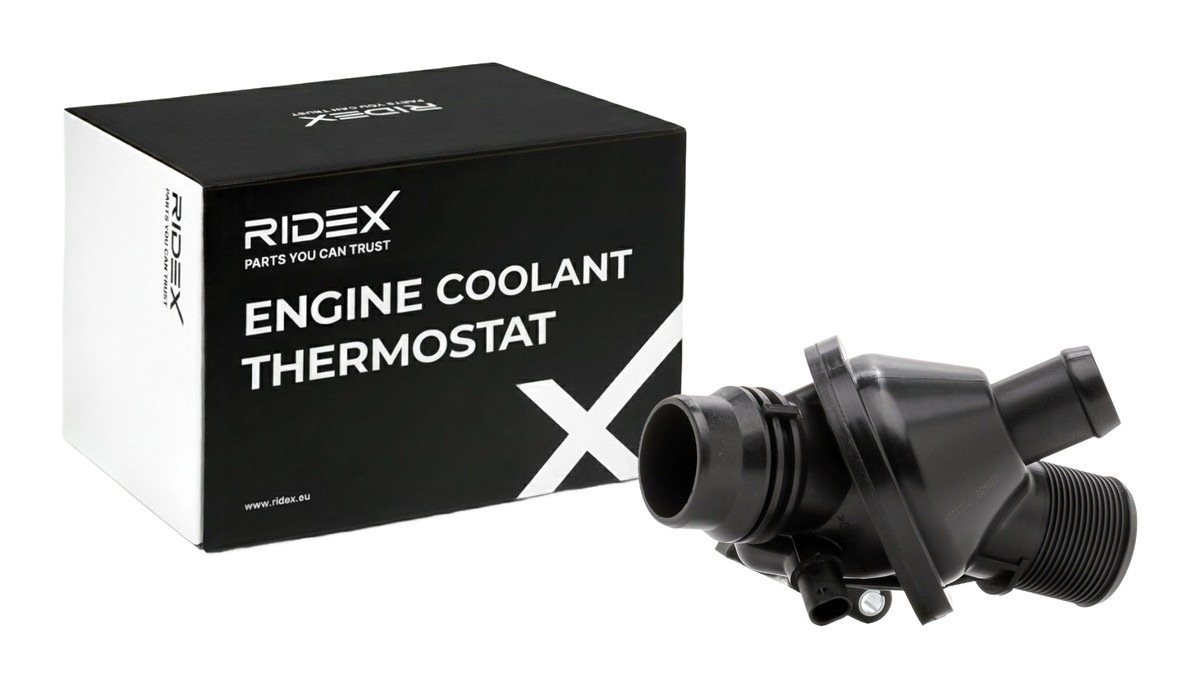 Ridex 316T0378 Thermostat