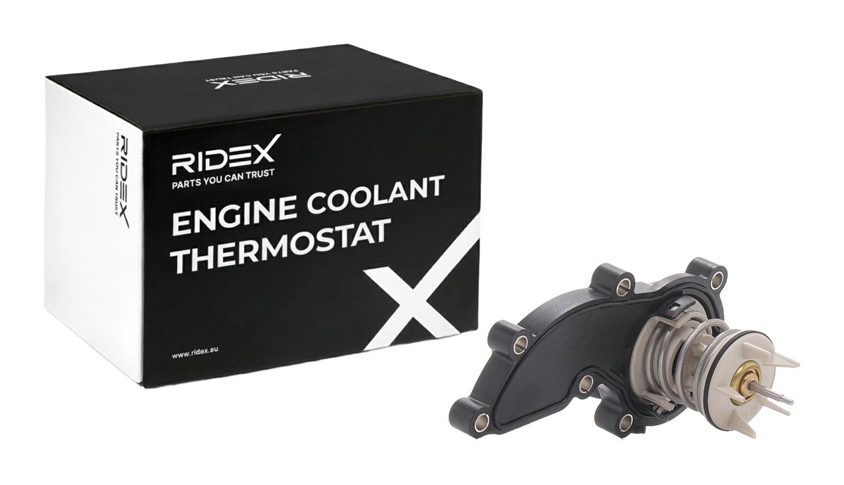 Ridex 316T0417 Thermostat