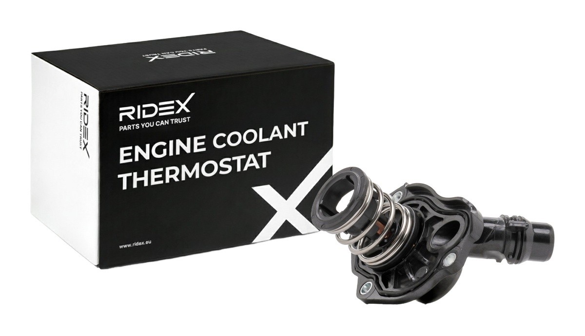 Ridex 316T0467 Thermostat