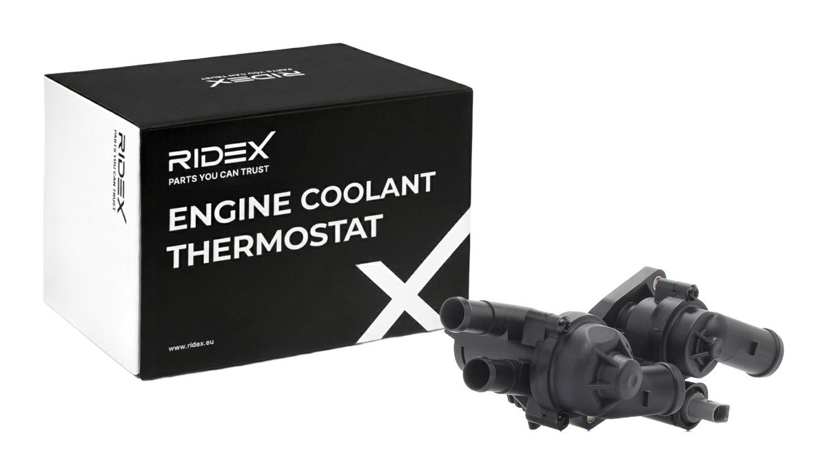 Ridex 316T0478 Thermostat