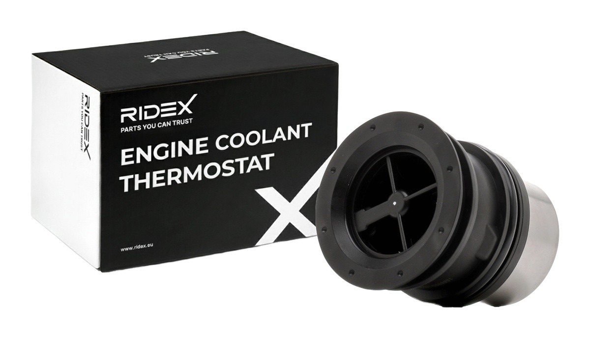 Ridex 316T0507 Thermostat