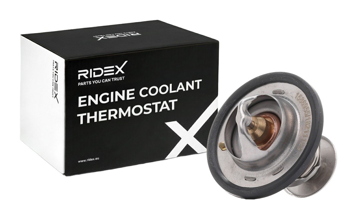 Ridex 316T0543 Thermostat