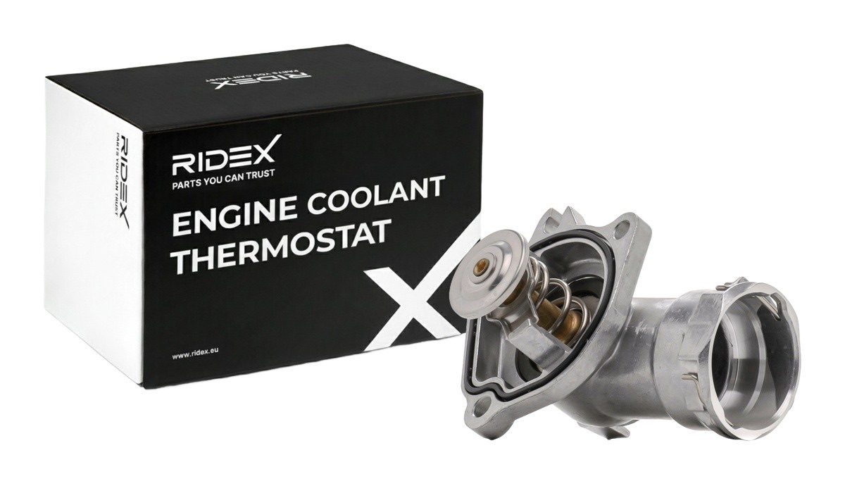 Ridex 316T0551 Thermostat