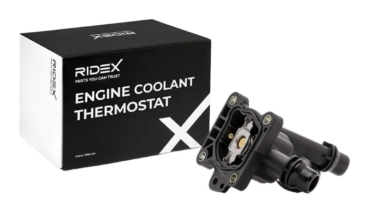 Ridex 316T0556 Thermostat