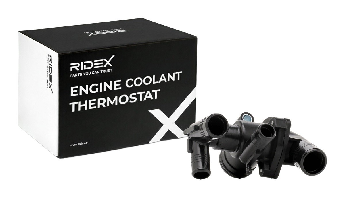 Ridex 316T0581 Thermostat