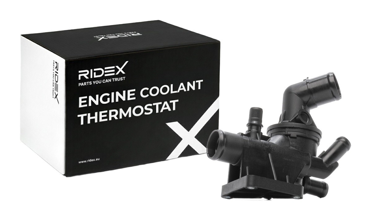 Ridex 316T0587 Thermostat