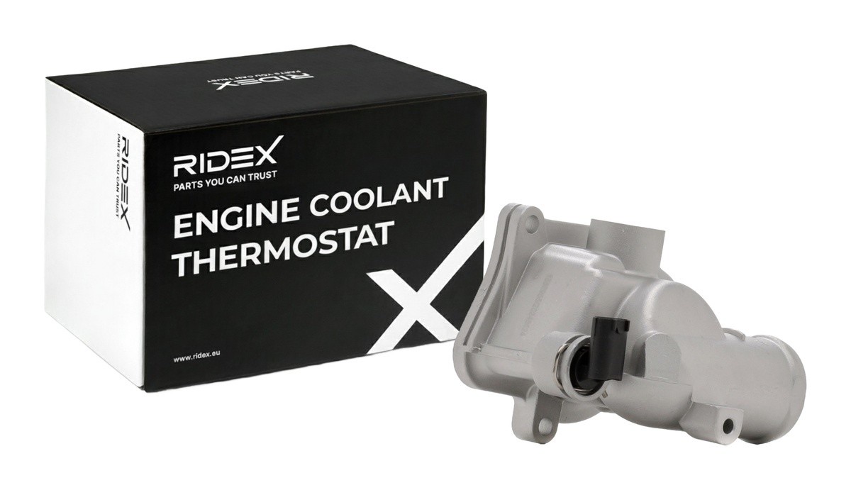 Ridex 316T0590 Thermostat