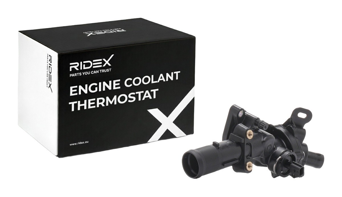Ridex 316T0597 Thermostat