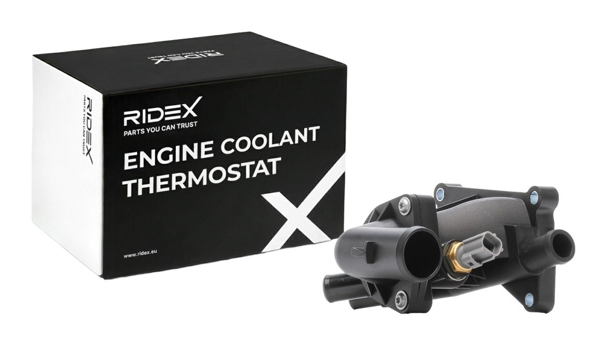 Ridex 316T0604 Thermostat