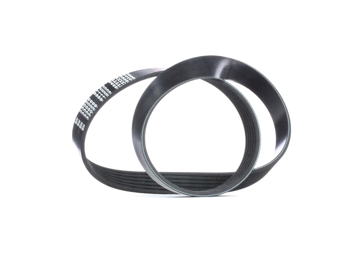 Febi Bilstein 33026 Serpentine Belt