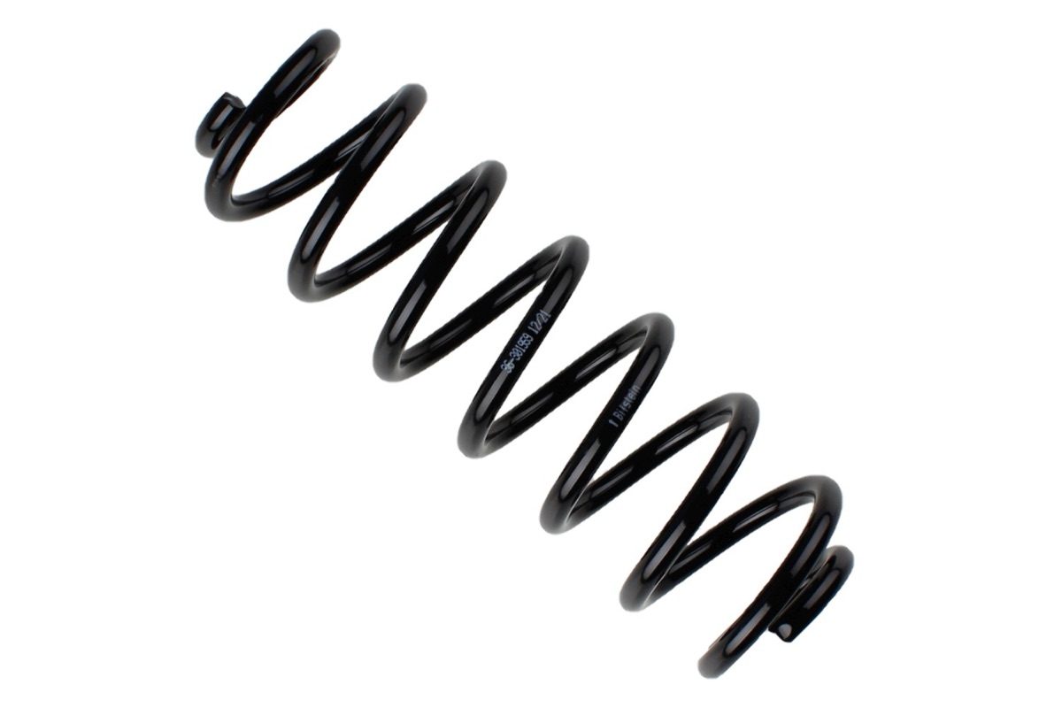 Bilstein 36-301959 Coil Spring