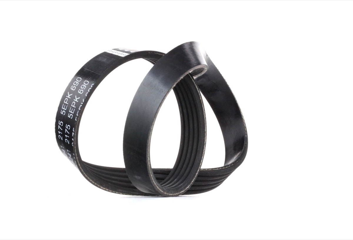 Febi Bilstein 38241 Serpentine Belt