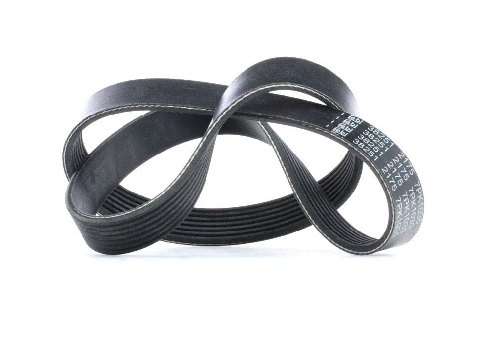 Febi Bilstein 38251 Serpentine Belt