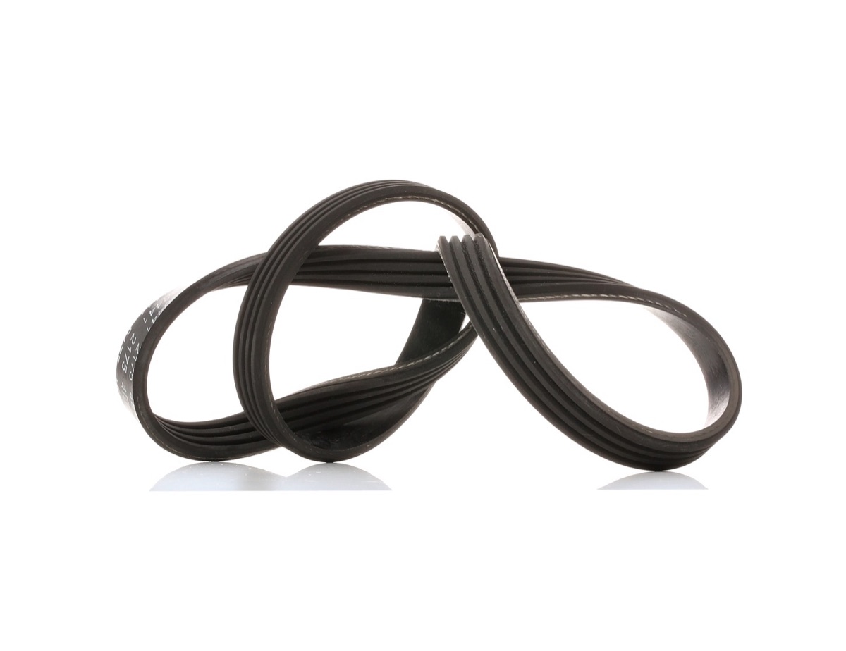 Febi Bilstein 38441 Serpentine Belt
