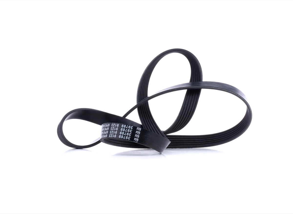 Febi Bilstein 39789 Serpentine Belt