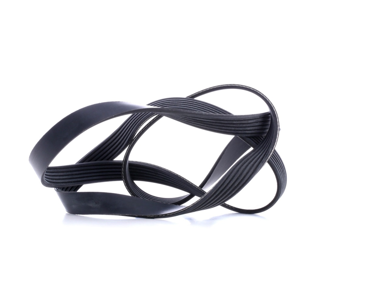 Febi Bilstein 45239 Serpentine Belt