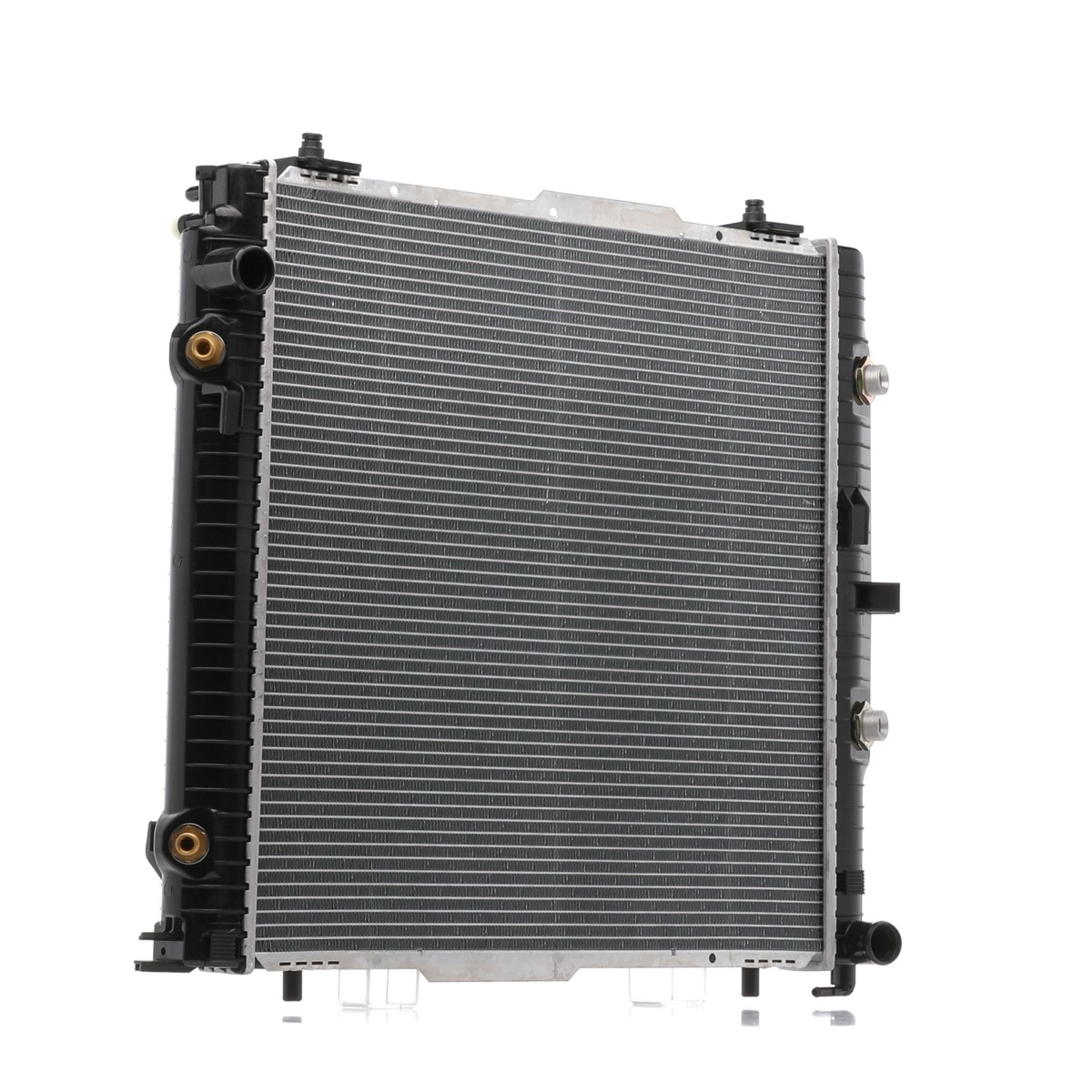 Ridex 470R0517 Engine Radiator
