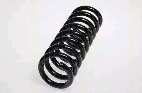 Febi Bilstein 47241 Coil Spring