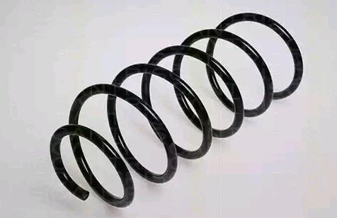 Febi Bilstein 47244 Coil Spring