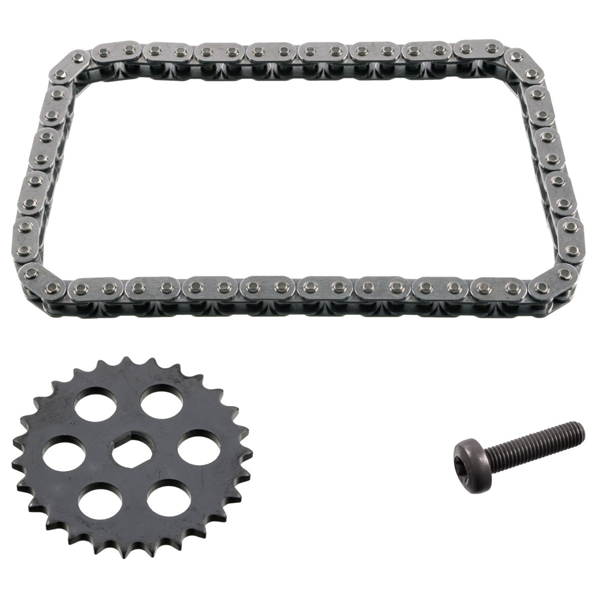 Febi Bilstein 49523 Oil Pump Chain Kit