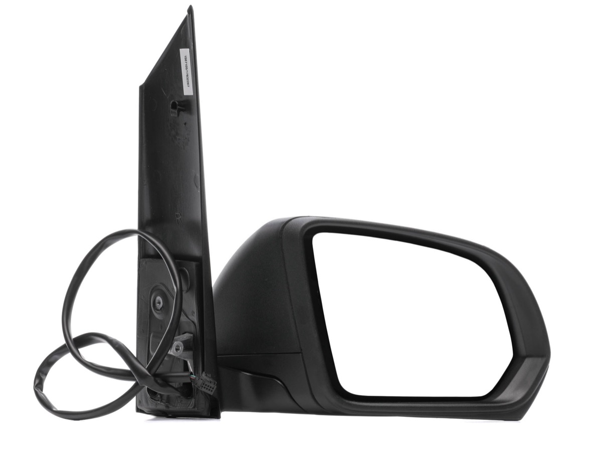 Ridex 50O1348 Wing Mirror
