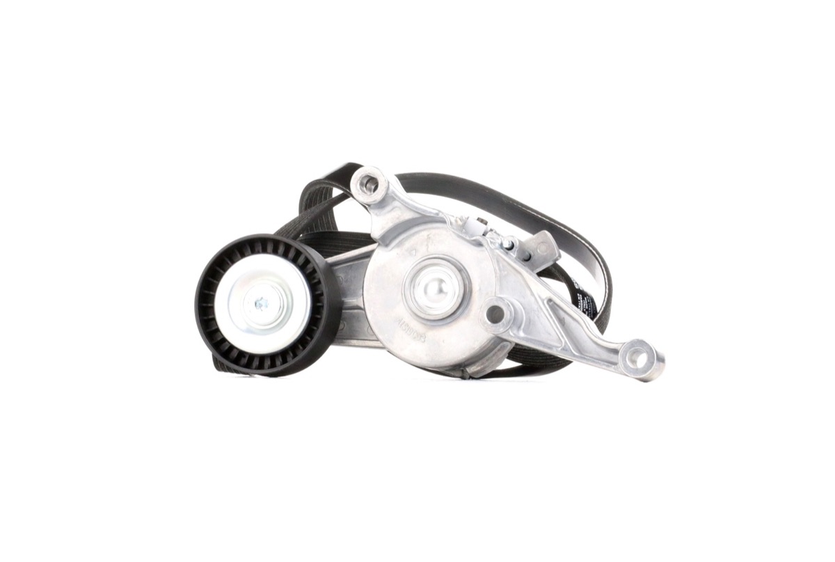 Ridex 542R0007 V-Ribbed Belt Set