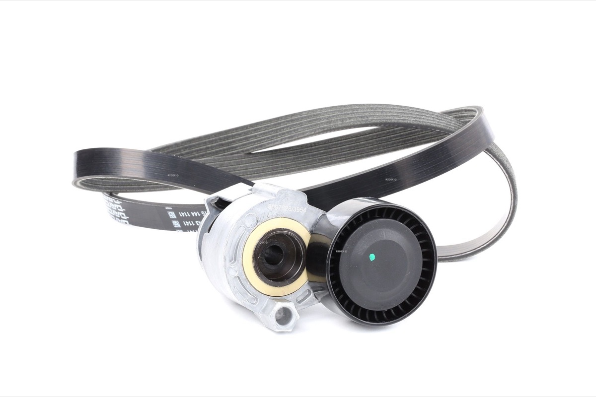 Ridex 542R0011 V-Ribbed Belt Set
