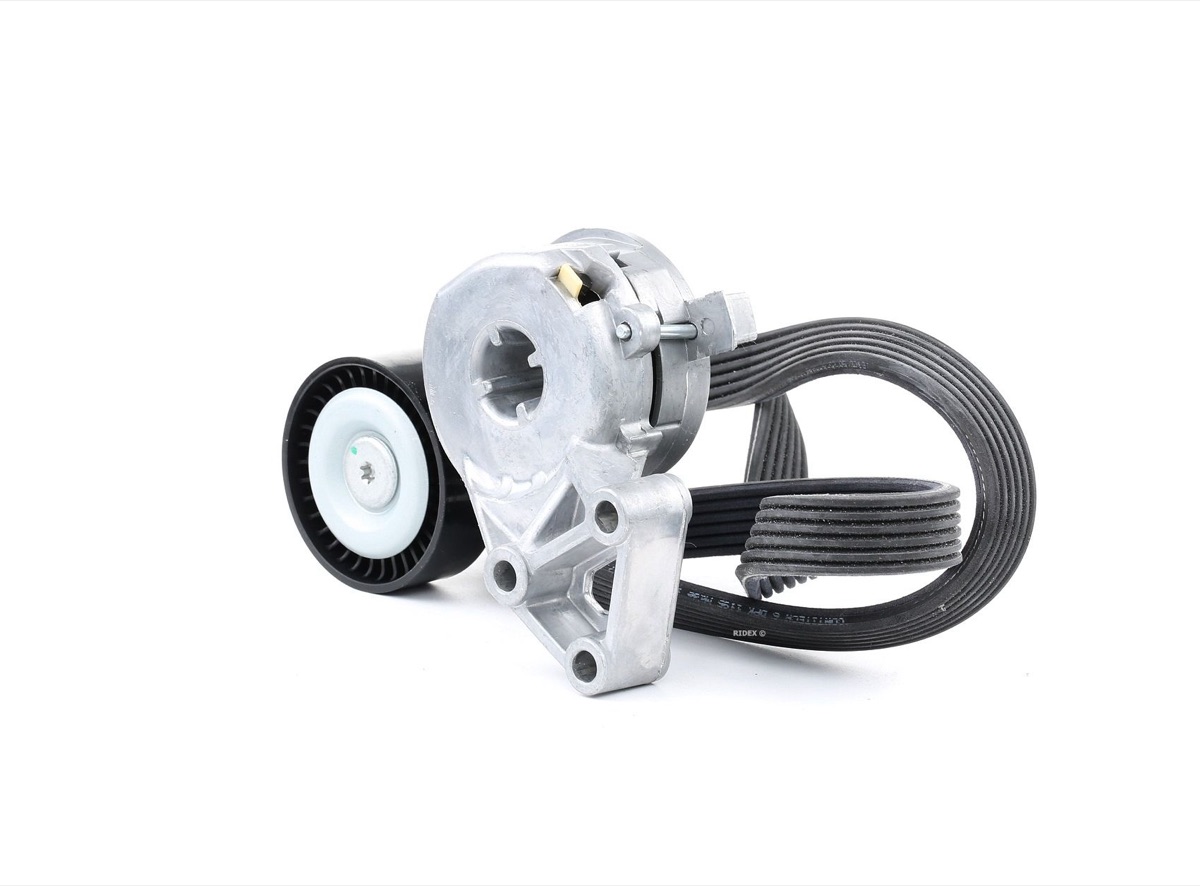 Ridex 542R0015 V-Ribbed Belt Set