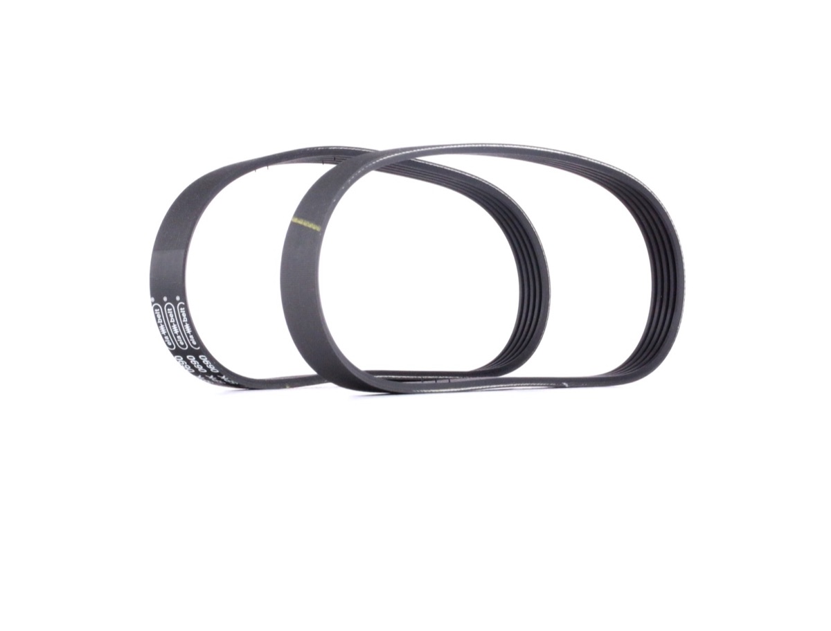Ridex 542R0018 V-Ribbed Belt Set