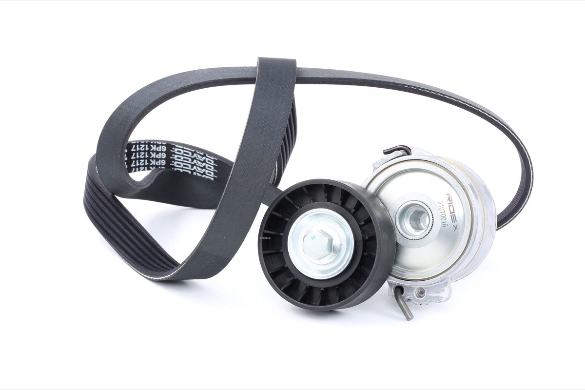 Ridex 542R0025 V-Ribbed Belt Set