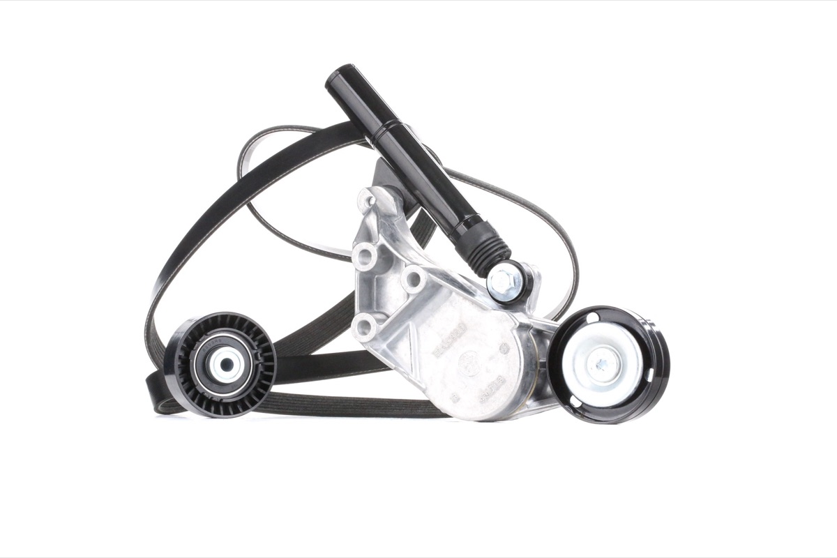 Ridex 542R0040 V-Ribbed Belt Set