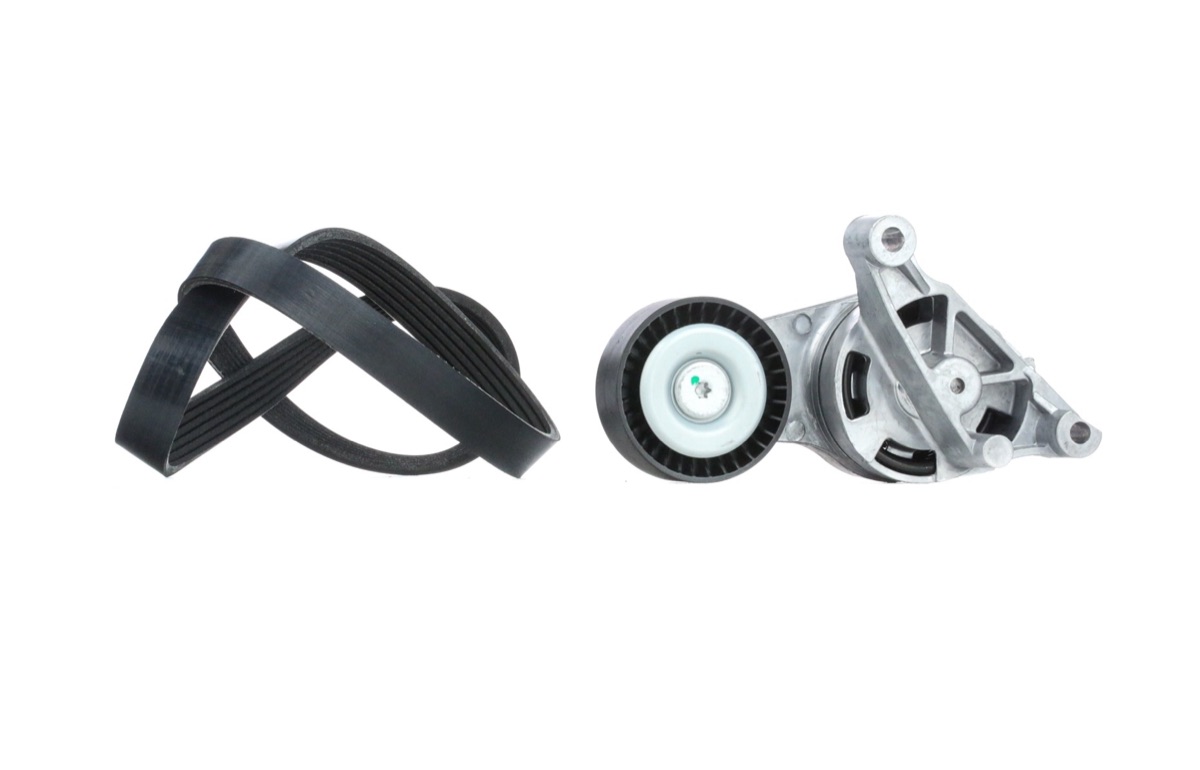 Ridex 542R0044 V-Ribbed Belt Set